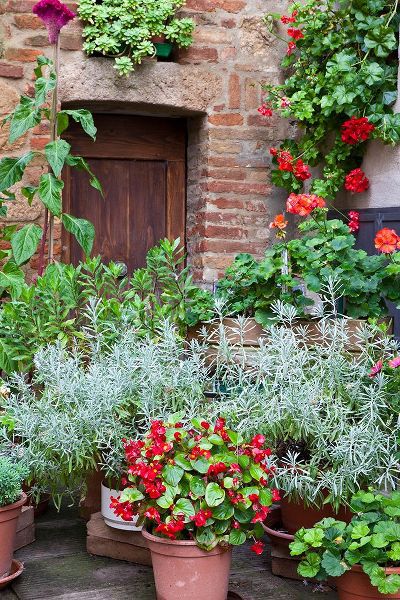 Eggers, Julie 아티스트의 Italy-Tuscany-Pienza Potted plants in the corner of a street in the town of Pienza작품입니다.